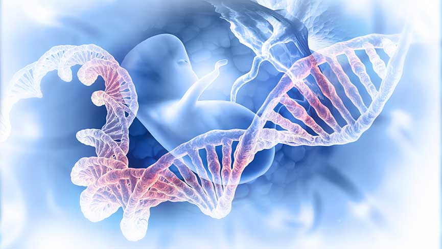 Dörtlü Tarama Testi Nedir?